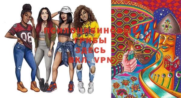индика Семикаракорск