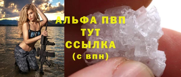 PSILOCYBIN Семёнов